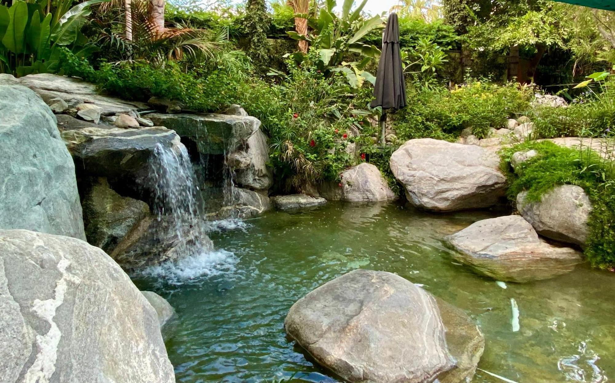 Vista Grande Resort - A Gay Men'S Resort Palm Springs Ngoại thất bức ảnh